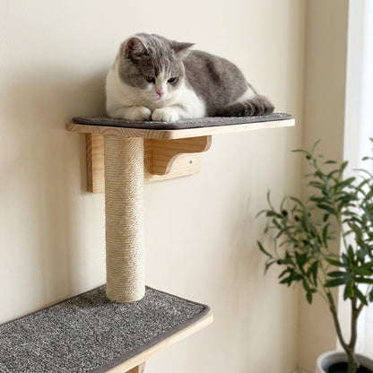 British Shorthair resting on a fleece-lined pine perch above the sisal scratching post