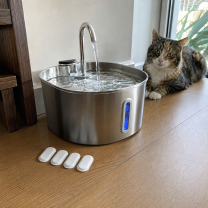 PureSpring fountain with filters included