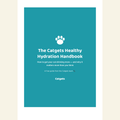 Healthy Hydration Handbook (digital)