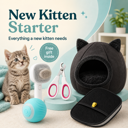 starter-kitten-collage