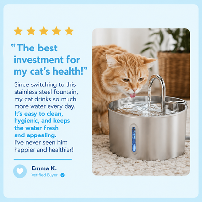 PureSpring fountain customer review