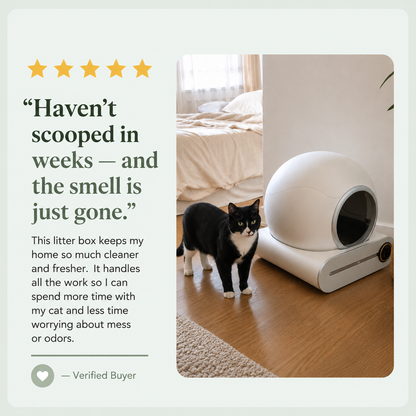 Verified buyer review of the self-cleaning litter box