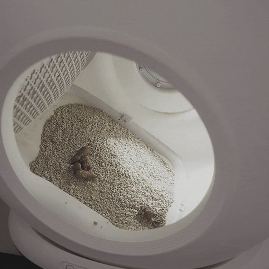 Self-cleaning rotation sifting the litter