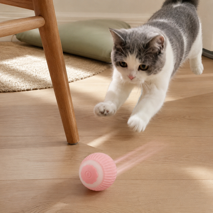 zoomball usecase-pink